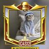 rajpootedit07