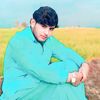 ali8134467666854