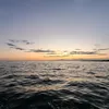 helena_leitner9