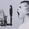 merci.de.rien6