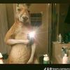 danielang83