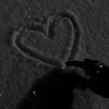 ziddisheikh012