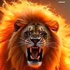 arturo.arturo72