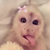 daniellaa.com__