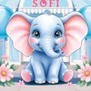 sofistore01