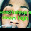 kjay.61089