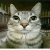 facundo_436