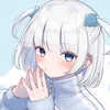 hik_752