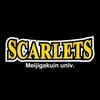 明治学院大学チアリーディング部SCARLETS