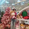 phamthianhthu047