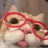 andytst_55