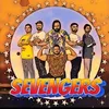 SEVENGERS