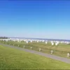 lilly_ker