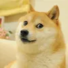 hunhminh2