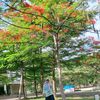 ibunyaarsya01