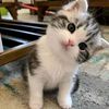 raysa_739