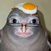 crocod1le_n1