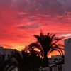 lauraanthoney6