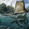 spinosaurus62