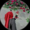 user31223626739306