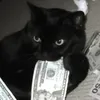 one.banxx