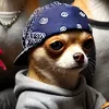 fan_jojosucre