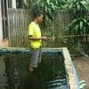 fauzy.adnan