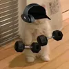 mcffduy