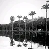 barbg_12
