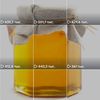 honey91431