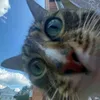 leydi_djfjjj
