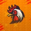 riccogallo1044