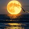 noor.elbaz6