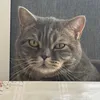 adfnbvhnbbkmvccvv