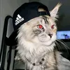 meowmeowcat540