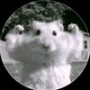 rhuslan_5