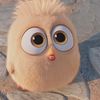 filin_81