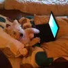 Best.vid.clips