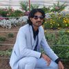 albreens_2