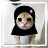 pinaa.rchieve