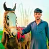 faisal_virk72