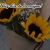lilian.tiktok05