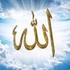 farouknaili222