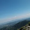 ola._931