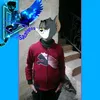 s_a_j555