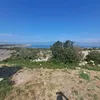 saigsidavid2110