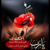 user4911749004351