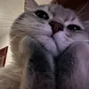 leena.giming