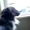martin_thegoat3