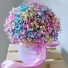 hanan.hanan9419
